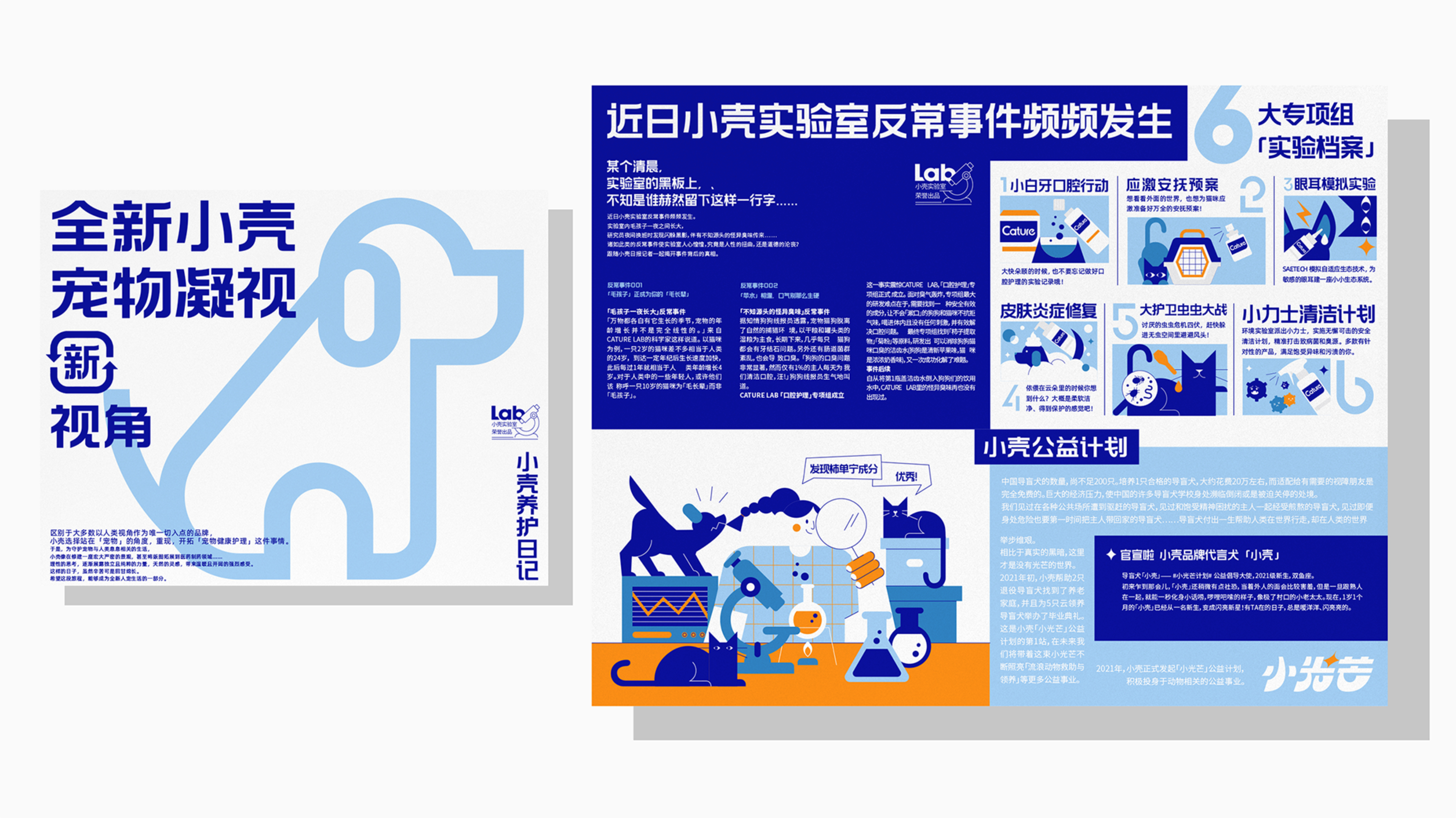 Cature pet gaze campaign poster and lab report page