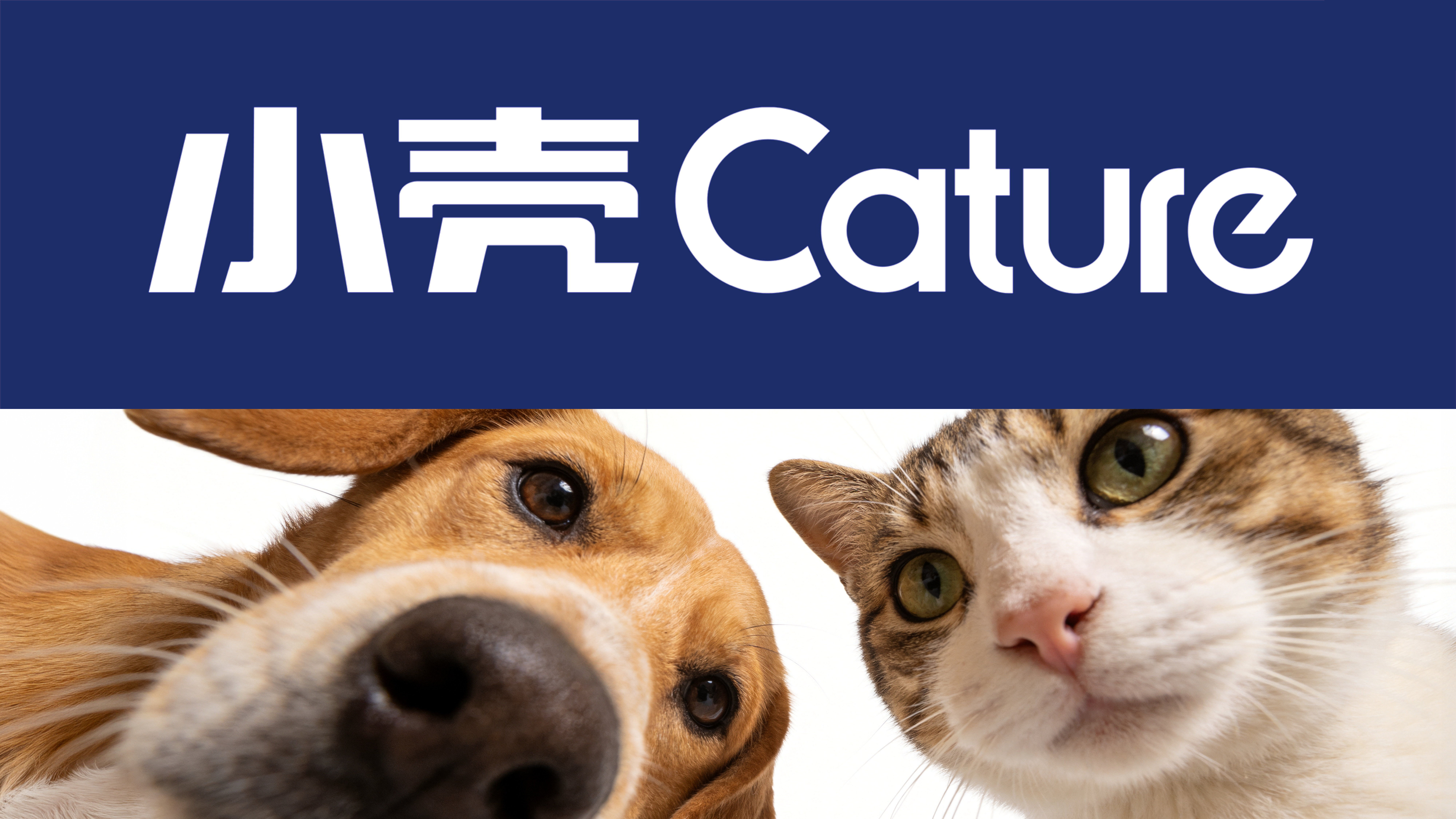 Cature logo with a dog and cat nose close-up